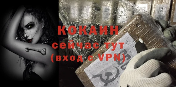 твердый Кулебаки