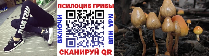 Псилоцибиновые грибы Magic Shrooms Мышкин